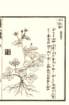 photo29_small.jpg