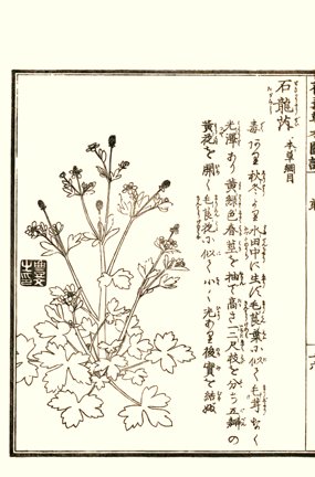 photo30.jpg