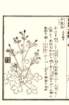photo30_small.jpg