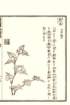 photo31_small.jpg