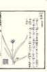 photo33_small.jpg