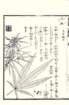 photo34_small.jpg