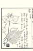 photo36_small.jpg
