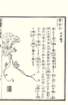 photo37_small.jpg
