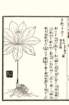 photo38_small.jpg