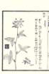 photo40_small.jpg