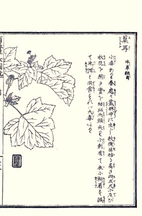 photo41.jpg