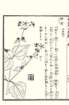 photo42_small.jpg