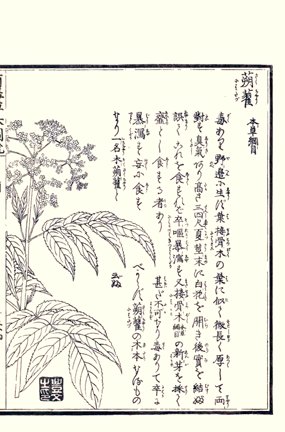 photo45.jpg