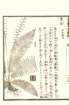 photo46_small.jpg