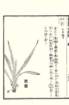 photo50_small.jpg
