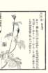 photo51_small.jpg