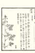 photo54_small.jpg