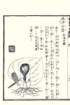 photo58_small.jpg