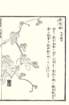 photo59_small.jpg
