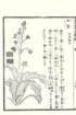 photo60_small.jpg