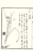 photo64_small.jpg