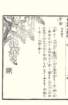 photo66_small.jpg