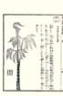 photo6_small.jpg