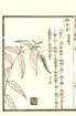 photo70_small.jpg
