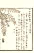 photo71_small.jpg
