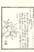 photo72_small.jpg
