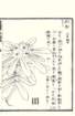 photo75_small.jpg
