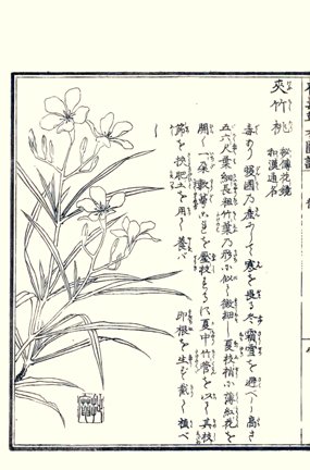 photo76.jpg