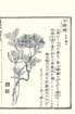photo78_small.jpg