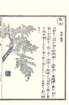 photo82_small.jpg
