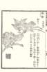 photo83_small.jpg