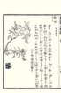 photo87_small.jpg