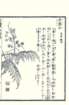 photo88_small.jpg
