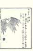 photo90_small.jpg
