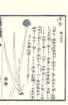 photo99_small.jpg