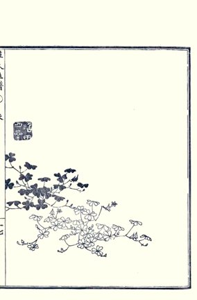 photo10.jpg