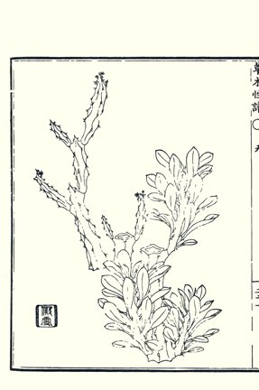 photo13.jpg