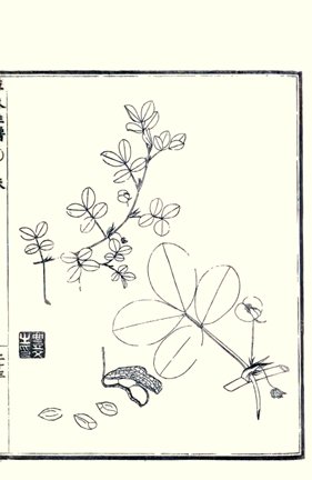 photo14.jpg
