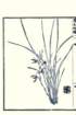 photo15_small.jpg