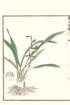 photo17_small.jpg