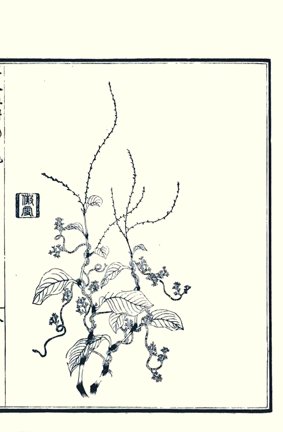 photo18.jpg