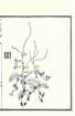 photo18_small.jpg