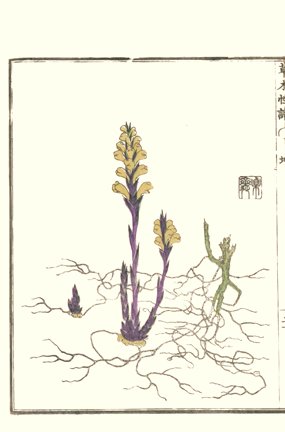 photo25.jpg