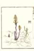photo25_small.jpg