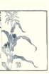 photo30_small.jpg