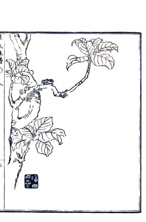photo36.jpg