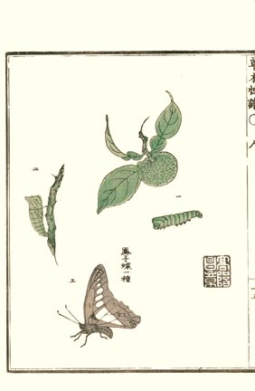 photo41.jpg