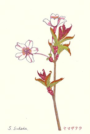 photo.jpg