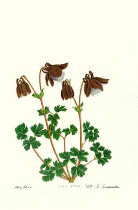 photo25.jpg