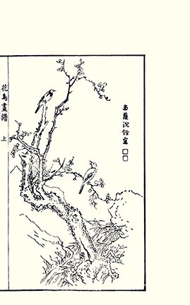 photo.jpg